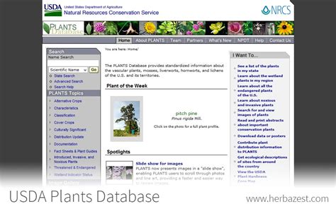 itis version 2|usda plants database.